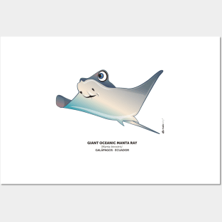 Giant Oceanic Manta Ray Posters and Art